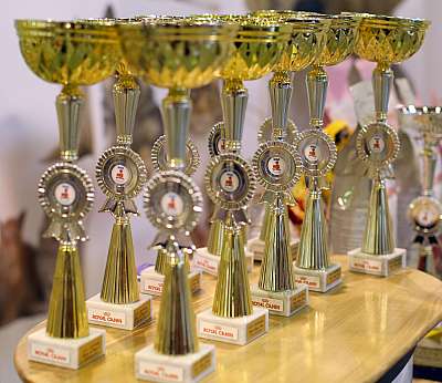 �������� ����� '���-�����-��������' 20-21 �������� 2014 169A2286 copy.jpg